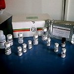 意大利Eurokit ELISA 试剂盒和免疫亲和柱（主要是兽药残留）