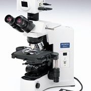 OLYMPUS  显微镜