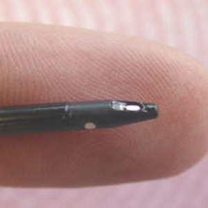 荷兰SENTRON微细非玻璃电极 Micro Electrode