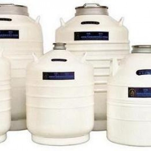 贮存型液氮罐1