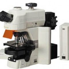 90i/80高级研究型生物显微镜
