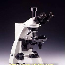 MODEL L3000生物显微镜