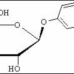 3150-24-1, 200422-18-0对硝基苯-β-D-半乳糖苷, 4-硝基苯-β-D-半乳糖苷,PNPG