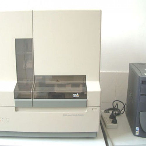 ABI 3100  DNA测序仪