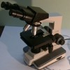 XSP2C137生物显微镜