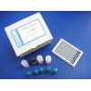 阿维菌素检测试剂盒