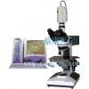 反光显微镜三目正置式金相显微镜：DMM-200C