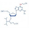 硒衍生核酸合同合成和纯化服务
