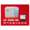 GC-9560-HQ燃气气相色谱仪