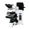 生物显微镜BX51（中国销售中心)奥林巴斯