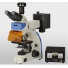 UB200i-Y系列正置荧光生物显微镜