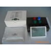 进口呋喃唑酮快速定量检测试剂盒Elisa Abraxis/Rengen