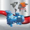 SKA型水环式真空泵