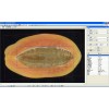 LA-S植物图像分析仪系统瓜果