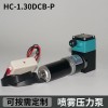 HC1.30DCB-P尿素泵、喷雾压力泵