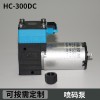 HC300DC喷码泵 直流微型水泵