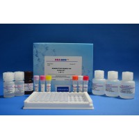 阿维菌素伊维菌素二合一检测试剂盒