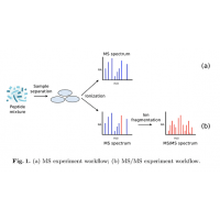 多肽质谱鉴定