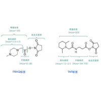 TMT或iTRAQ或MultiNotch定量蛋白组学分析