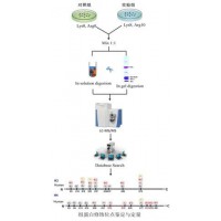 组蛋白翻译后修饰分析
