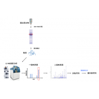 基于质谱的序列分析