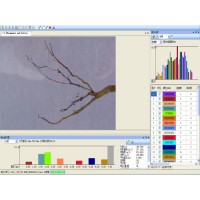 FGX-A植物根系分析仪