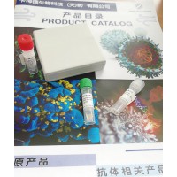 兔抗新冠多克隆抗体