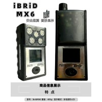 英思科MX6 iBRiD智能气体检测仪