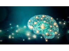 光遗传学技术在研究下丘脑的神经核团的应用