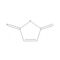 辰光自制 原白头翁素Protoanemonin 现货