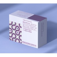 尘螨组分特异性抗体lgG4检测试剂盒 蛋白芯片法